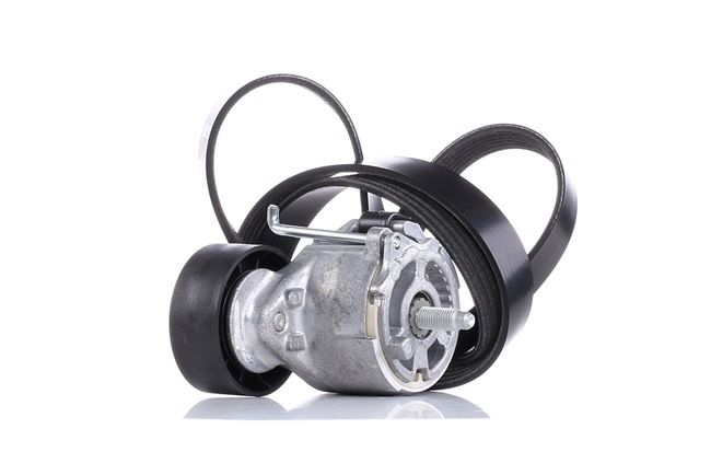 online DAYCO Keilrippenriemensatz KPV233 Chrysler 41,26 € im Online-Shop kaufen