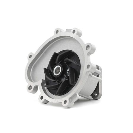 P500 DOLZ Water Pump