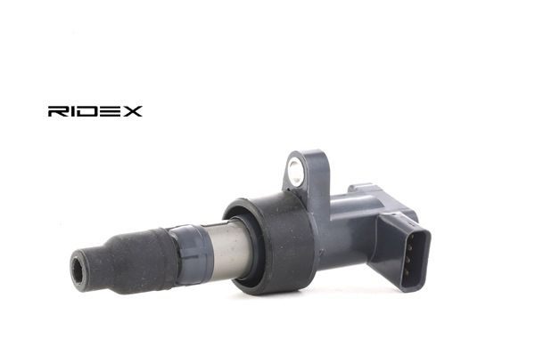 order RIDEX (689C0055) Bobine
