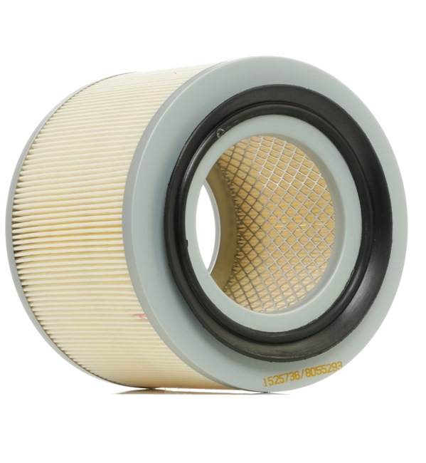 Filtre Nissan Patrol W160: Luftfilter RIDEX 8A0307