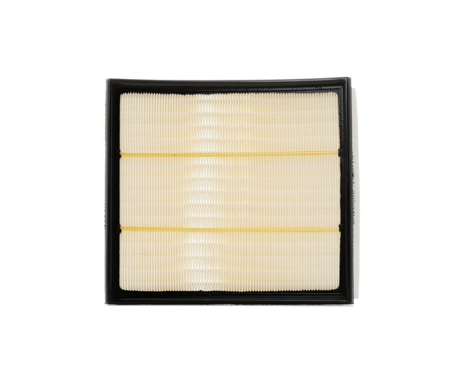 acquisto RIDEX (8A0223) Filtro aria