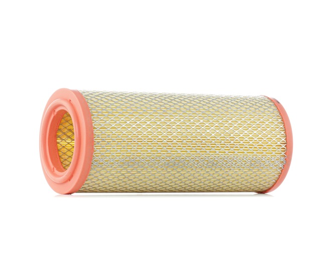 Motorluftfilter 8A0198 RIDEX FIAT Idea (350) 1.9 JTD 2004 101 PS