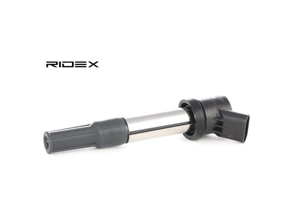 order RIDEX (689C0084) Bobine