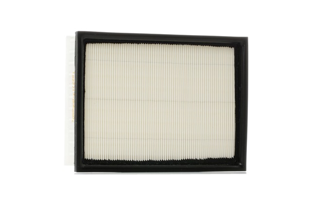 Filtro de ar 8A0324 RIDEX CITROËN C4 I Grand Picasso 1.8 i 16V CNG 2009 117 cv