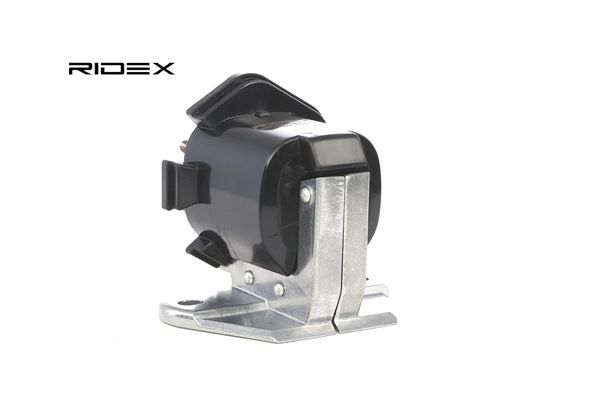 køb RIDEX (689C0243) Tændspole
