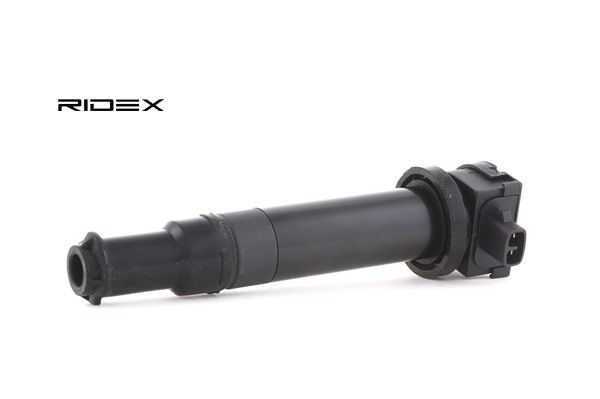 comprar online RIDEX Unidade de bobinas de ignição 689C0134 Hyundai 12,02 €