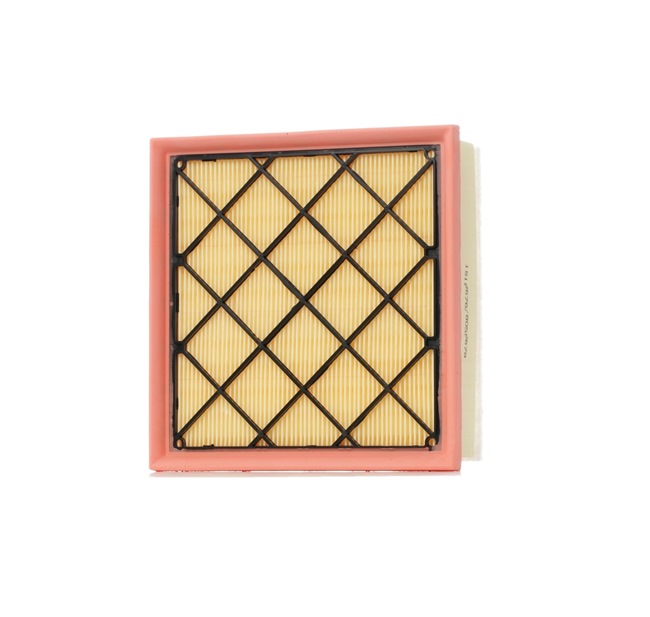 8A0515 RIDEX 13356945 Air filter