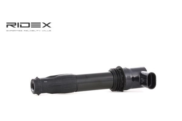 RIDEX (689C0260) Zündspule kaufen