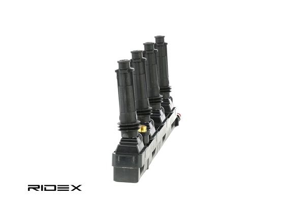RIDEX (689C0248) Zündspule kaufen