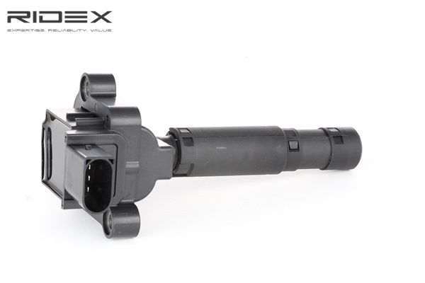 RIDEX (689C0233) Zündspule kaufen