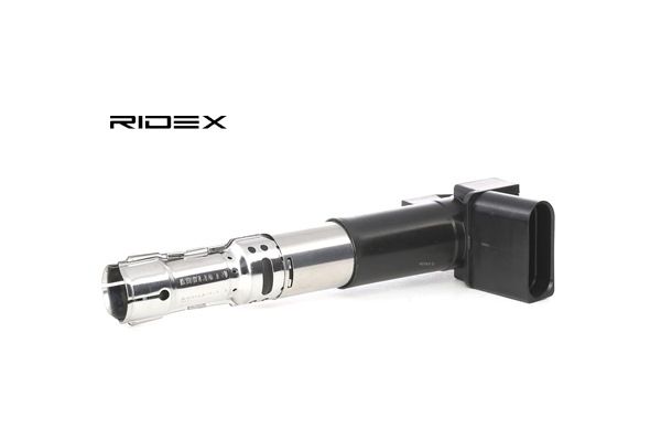 Zündspule 689C0230 RIDEX 066905100C