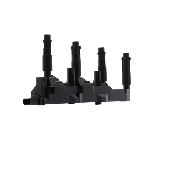 order RIDEX (689C0225) Bobine