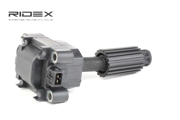 Bobines 689C0223 RIDEX FORD Transit Mk5 Bus (V184, V185) 2.3 16V RWD (F_B_, F_C_, F_A_) 2000 146 Pk