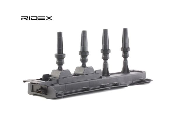 Bobina de ignição 689C0175 RIDEX PEUGEOT 307 CC (3B) 2.0 16V 2004 136 cv
