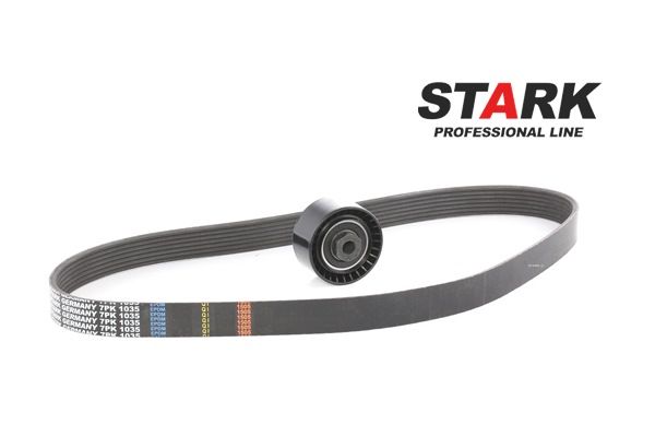 Drivremssats SKRBS-1200016 STARK RENAULT Clio III Hatchback (BR0/1, CR0/1) 1.2 16V 2008 58 hk