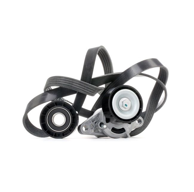 Drivremssats SKRBS-1200018 STARK RENAULT Scénic I (JA0/1, FA0) 1.8 16V 2002 115 hk