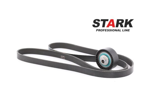 STARK SKRBS-1200038 kit de courroie d'accessoire FIAT Scudo I Break (220) 2.0 JTD 16V 109CV 2004