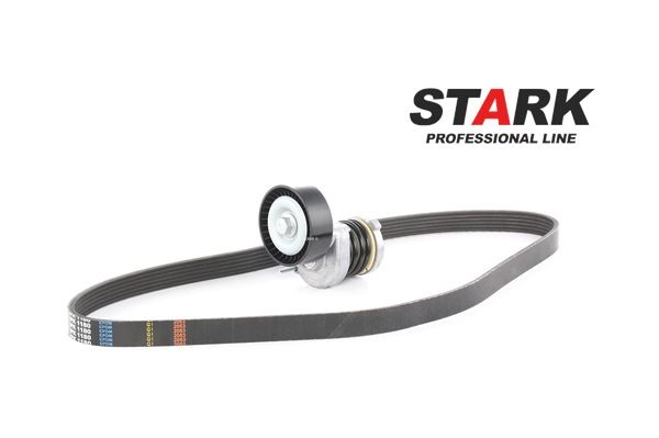 Kit Cinghie Poly-V SKRBS-1200040 STARK Volkswagen Polo IV Hatchback (9N) 1.4 TDI 2006 80 CV