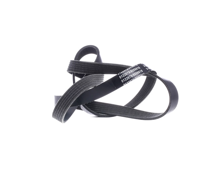 Número OEM 1 125 415 - Correia trapezoidal estriada SKPB-0090224 FORD, MITSUBISHI, SUZUKI