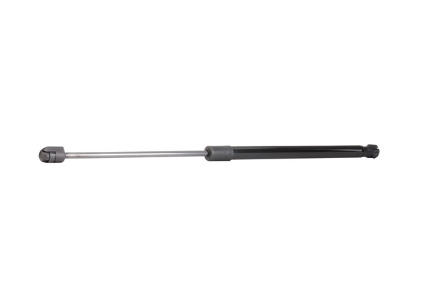 order RIDEX (219G0002) Gasveer achterklep