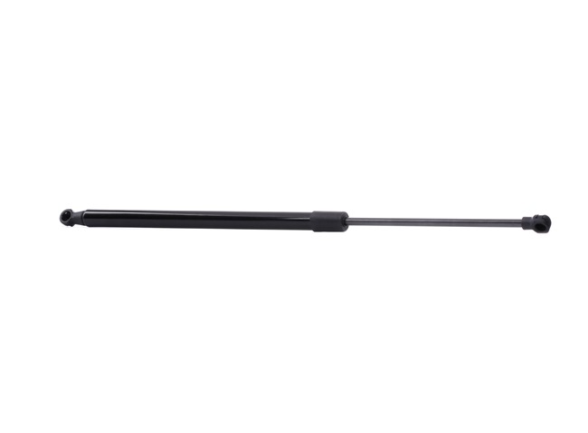 Tailgate strut 219G0060 RIDEX 51 24 8 171 158 BMW, MINI