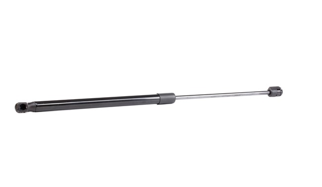 RIDEX 219G0062 boot struts SEAT Ibiza II (6K1) 1.6 i 75hp 1994