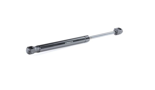 Karosseri Polo 6N2: Bagklapsdæmper RIDEX 219G0083