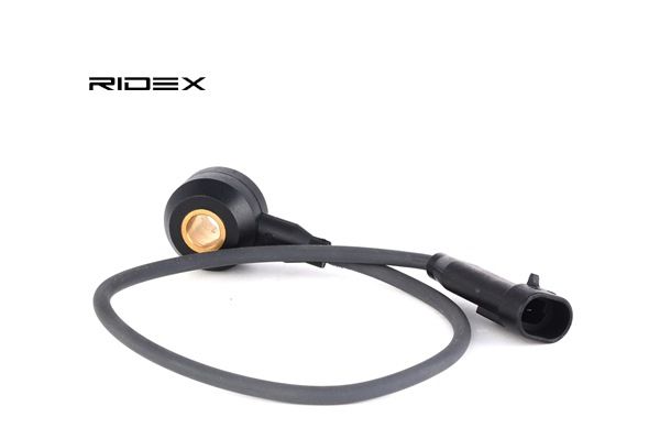 RIDEX 3921K0026 Capteur de cliquetis Opel Movano Van x70
