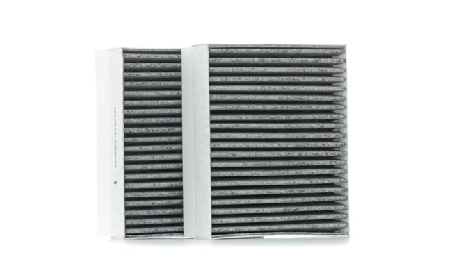 RIDEX 424I0328 cabin filter ALFA ROMEO GT (937) 1.9 JTD (937CXN1B, 937CXZ1B) 170hp 2009