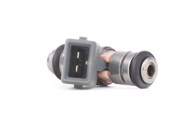 Insprutningsventil SKIJ-1070055 STARK RENAULT Clio II Hatchback (BB, CB) 1.0 (CB06, CB2R, BB06, BB2R) 2002 71 hk