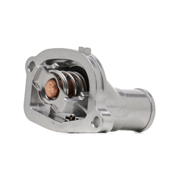 RIDEX 316T0014 Fiat Grande Punto 199 engine thermostat replacement cost