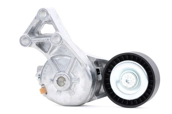 acquisto online RIDEX Tendicinghia 541V0003 Volkswagen 39,16 €