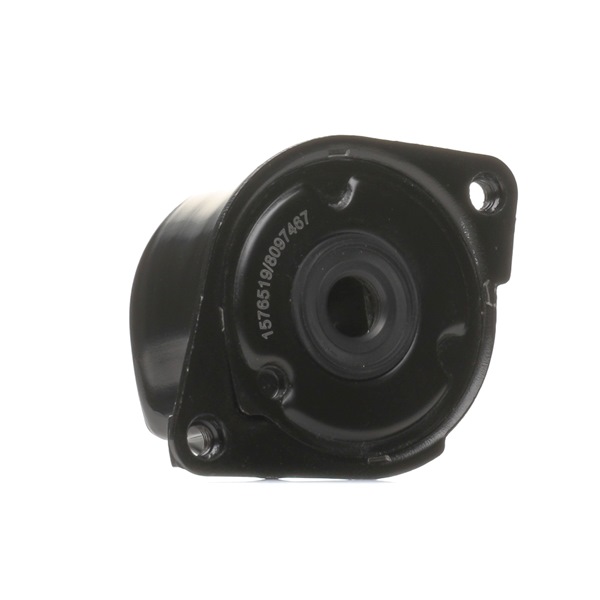 Tensor de correia, correia trapezoidal estriada 541V0036 RIDEX BMW 3 Compact (E46) 320td 2.0 2004 150 cv
