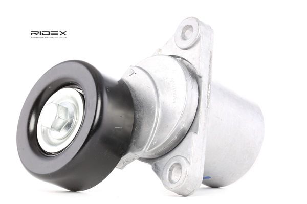 RIDEX 310T0041 Poulie, tendeur de courroie d'accessoire Hyundai Santa Fe cm
