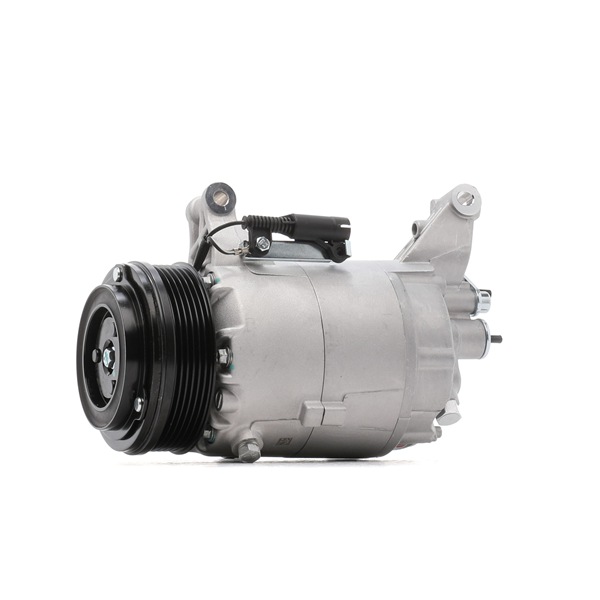 Achtez Compresseur de climatisation RIDEX 447K0025 MINI 204,79 €
