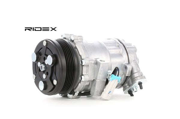 447K0043 RIDEX 1854111 Air conditioning compressor