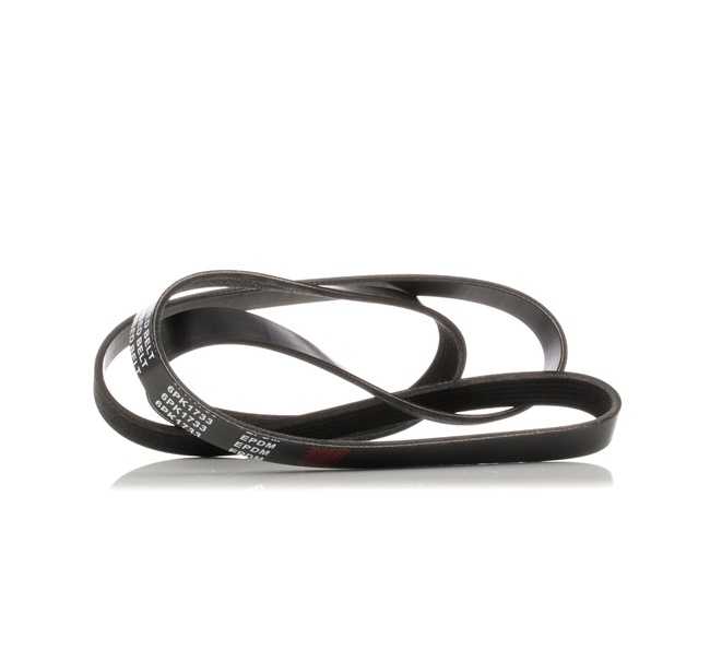 order RIDEX (305P0121) Serpentine belt