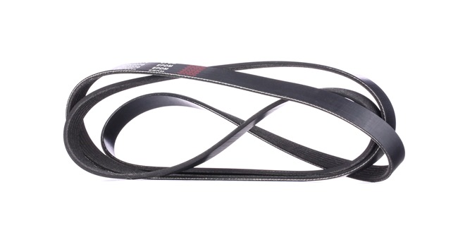 comprar online RIDEX Correia estriada 305P0101 Land Rover 13,82 €