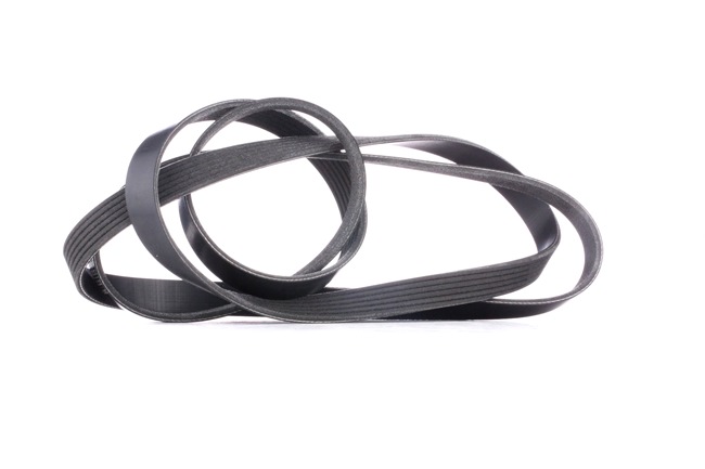 buy RIDEX (305P0102) Serpentine belt