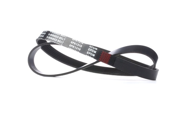 RIDEX | Correia Trapezoidal Estriada 305P0066 FORD C-Max (DM2) 2010 baratos online