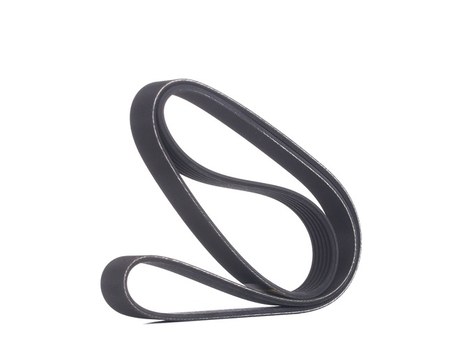 RIDEX | Correia Trapezoidal Estriada 305P0067 FORD Focus Mk1 Van / Carrinha (DNW) 2005 baratos online