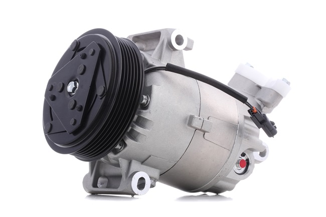 acquisto RIDEX (447K0144) Compressore aria condizionata
