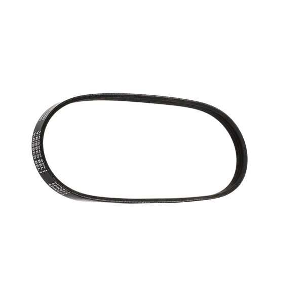 acquisto RIDEX (305P0167) Cinghia servizi