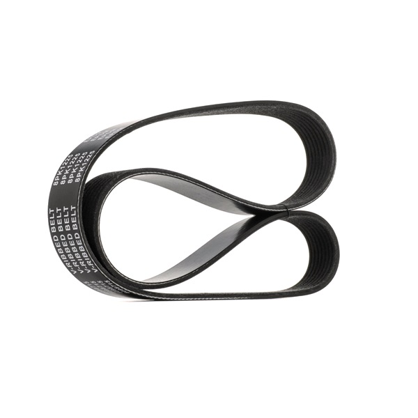 order RIDEX (305P0155) Multiriem