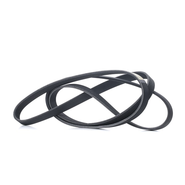 Cinghia servizi 305P0096 RIDEX Volkswagen Transporter T4 Bus (70B, 70C, 7DB, 7DK, 70J, 70K, 7DC, 7DJ) 2.4 D 2002 75 CV