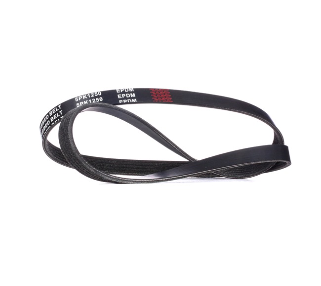 Numéro OEM 96 144 327 - Courroie Poly-V 305P0159 RENAULT, CITROËN, TOYOTA, KIA, HYUNDAI
