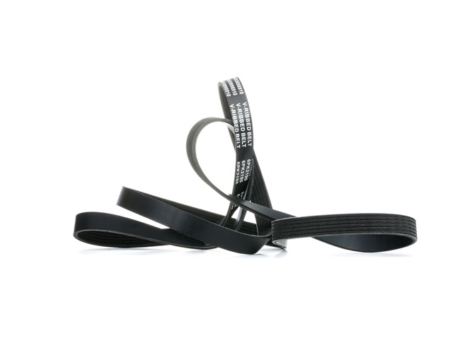 Serpentine belt 305P0185 RIDEX 6G9 Q6C 301 CA FORD, FORD USA