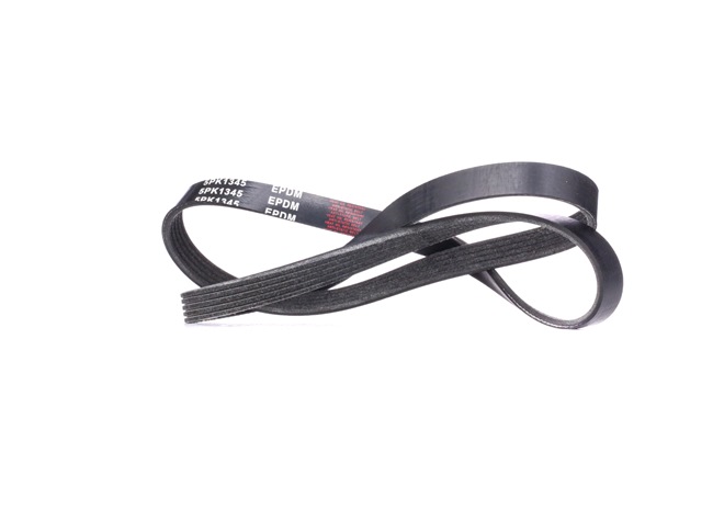 RIDEX 305P0174 Courroie Poly-V Hyundai Galloper 2
