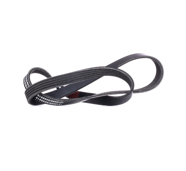 RIDEX | Correia Trapezoidal Estriada 305P0164 LAND ROVER Range Rover III (L322) 2004 baratos online