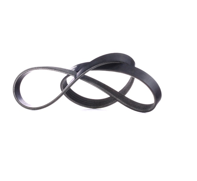 comprar RIDEX (305P0176) Correia trapezoidal estriada